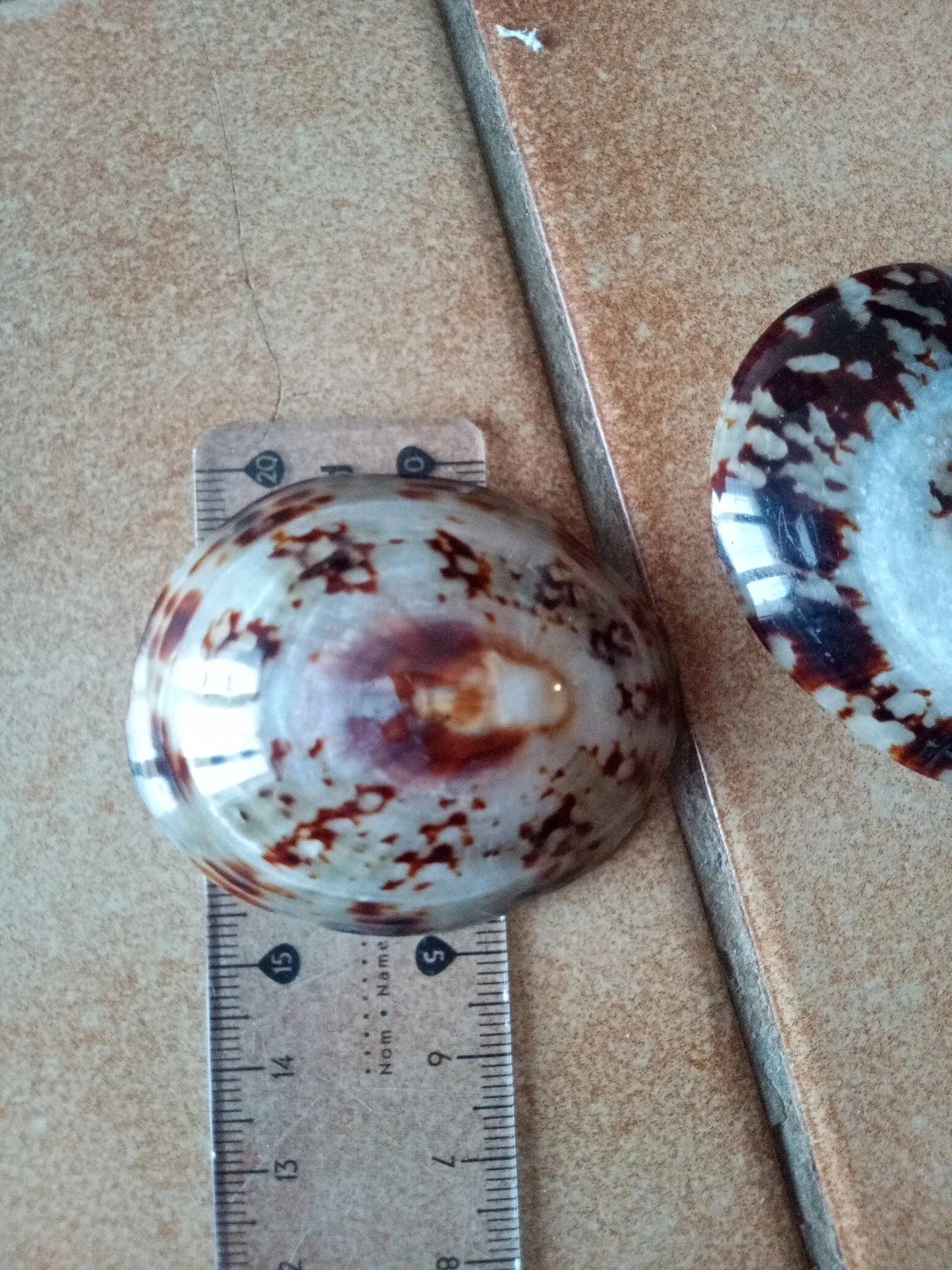 Breastfeeding shells – photo 10